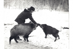 skanowanie0002